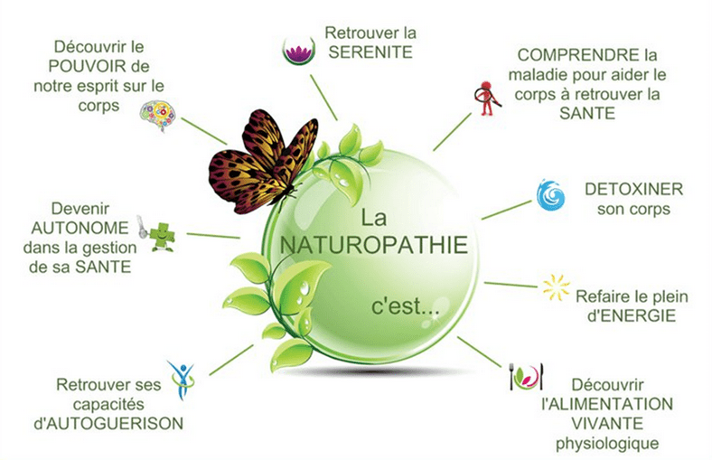 Ecole de Naturopathie I.E.M.N  Formations et Modules flexibles