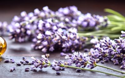 Qu’est ce que l’aromathérapie et quels sont ses bienfaits ?