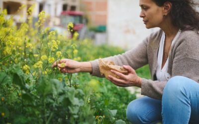 Comment est remboursée la naturopathie par les mutuelles ?