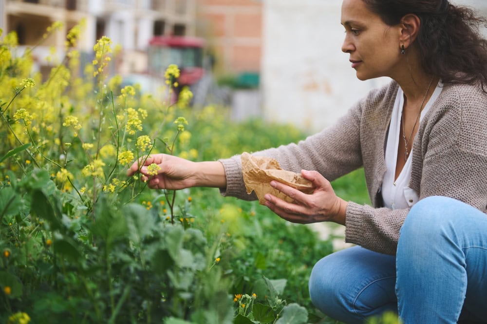 Comment est remboursée la naturopathie par les mutuelles ?